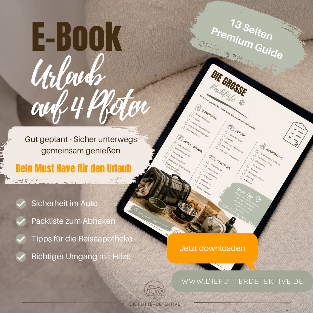 Digitales E-Book für Urlaub mit Hund: Golden Retriever vor Wohnmobil am Strand. Ratgeber für Reisen mit Hund, Camping, Gesundheit, Packliste und Urlaubsvorbereitung.